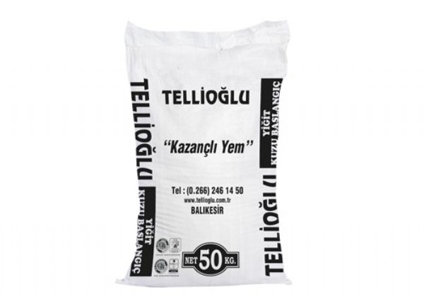 YİĞİT